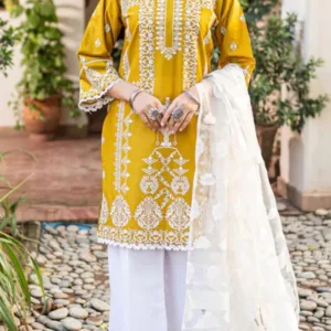 Latest Design Ladies Suit Winter Collection 3-piece Unstitched Suit with Chiffon Dupatta. This stylish design is perfect for the winter season. The set includes a trendy Shirt embroidered from the Front and Sleeves with linen-dyed trousers and a Luxuries Chiffon Dupatta. Stay fashion-forward with this must-have winter wardrobe addition.